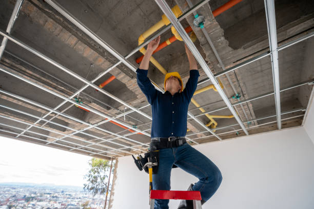 Best Emergency Plumber  in Venus, TX
