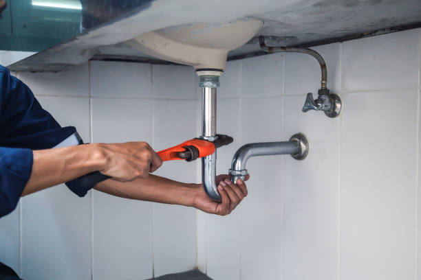 Best Plumbing Services Near Me  in Venus, TX